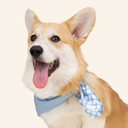 Bandana Blue Breeze