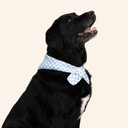 Bandana Blue Breeze