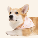 Bandana Blush